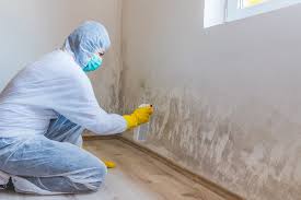 Best Attic Mold Removal in Ford City, PA