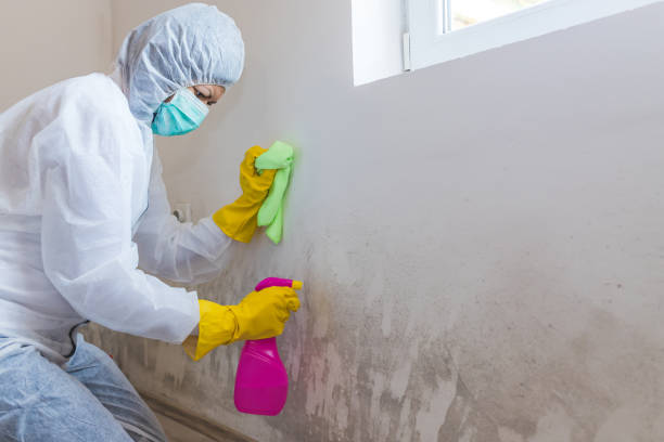 Best Mold Remediation for Healthcare Facilities in Ford City, PA