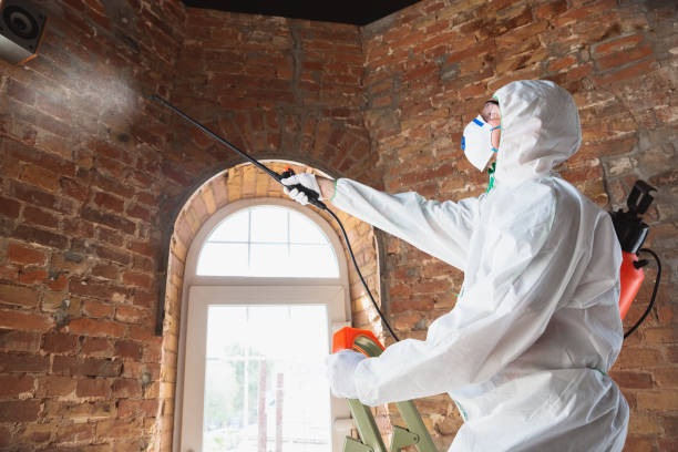 Best Mold Odor Removal Services in Ford City, PA